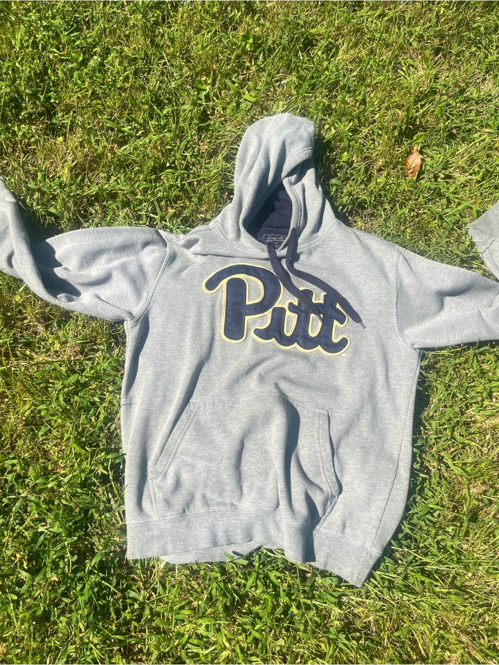 Pitt Script Hooded Sweatshirt in Grey with Navy & Gold Logo